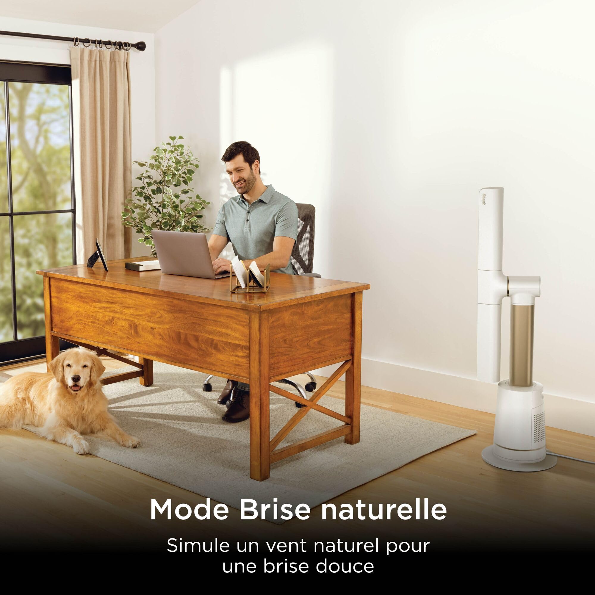 shark-turboblade-ventilateur-colonne-sans-pale-blanc-10-vitesses-180 image 7