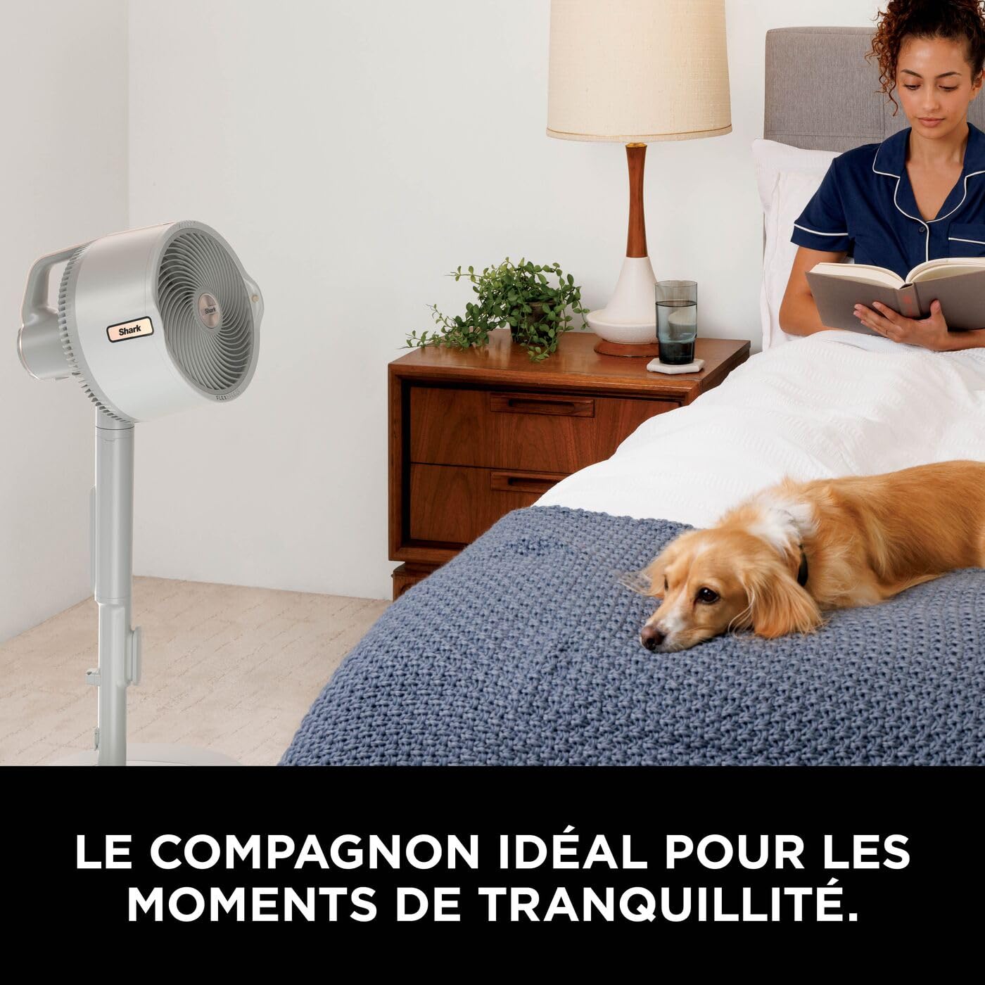 shark-flexbreeze-promist-ventilateur-brumisateur-blanc-24h image 5