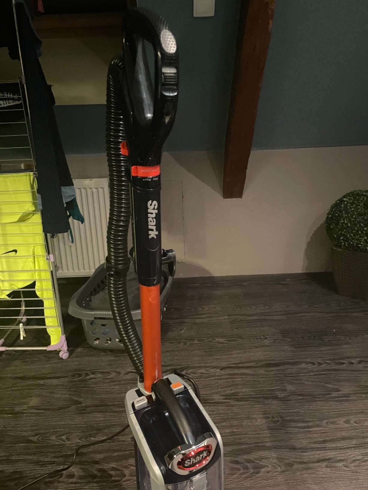 Brosse animaux