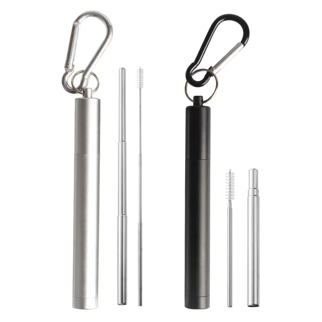 tomedeks-pailles-inox-t-lescopiques-lot-2-brosses-colo image 1