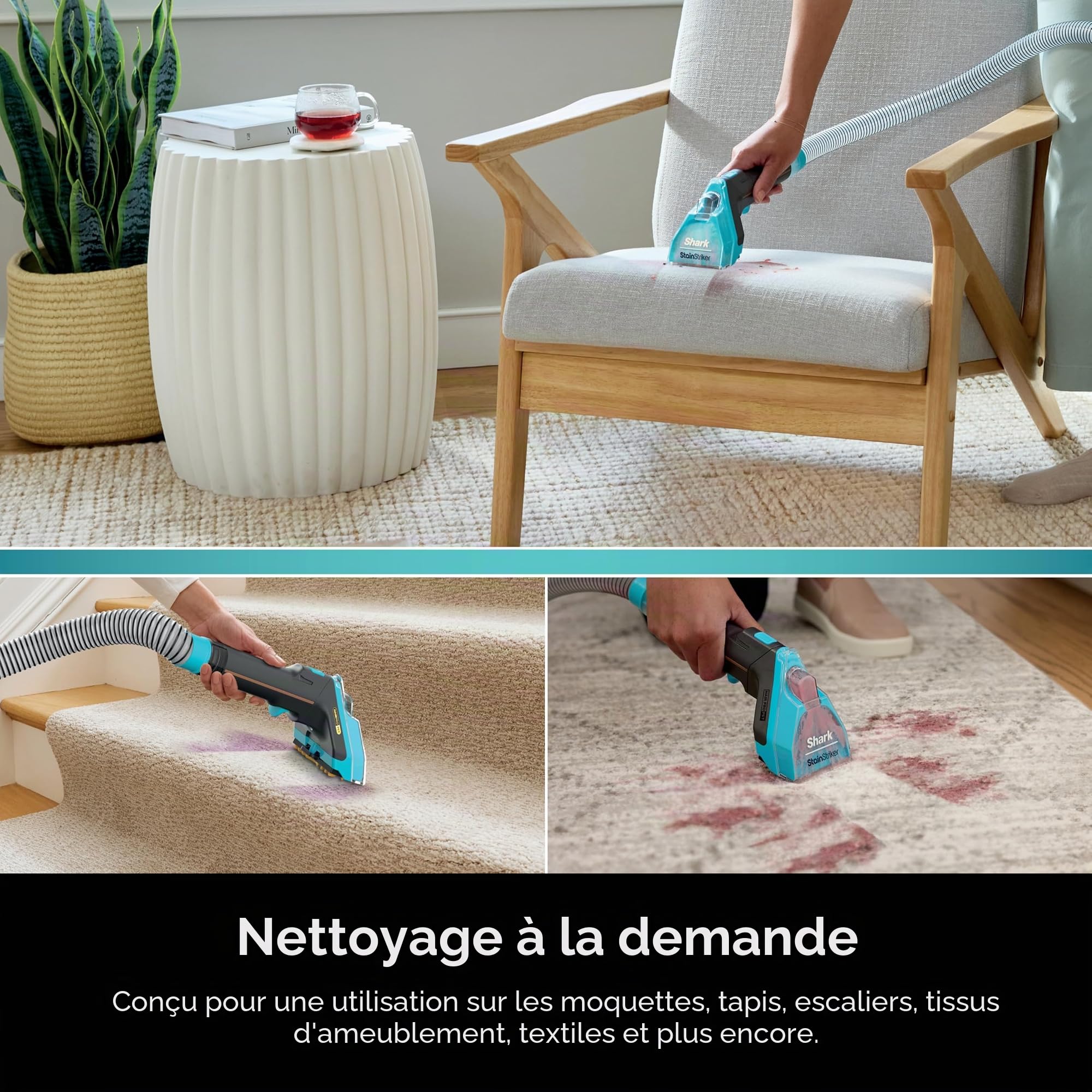 shark-stainstriker-pxcpbundle-lot-solutions-pet-animaux image 4