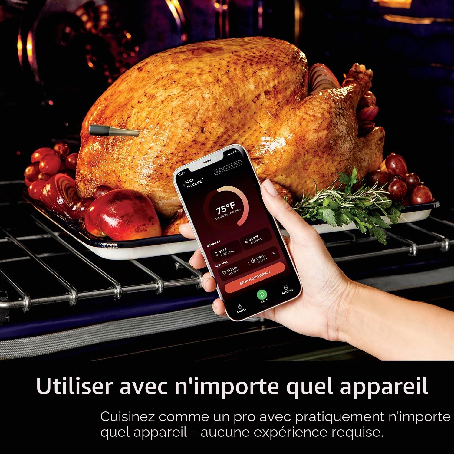 ninja-prochef-wp100eu-thermosonde-sans-fil-bluetooth-50m image 2