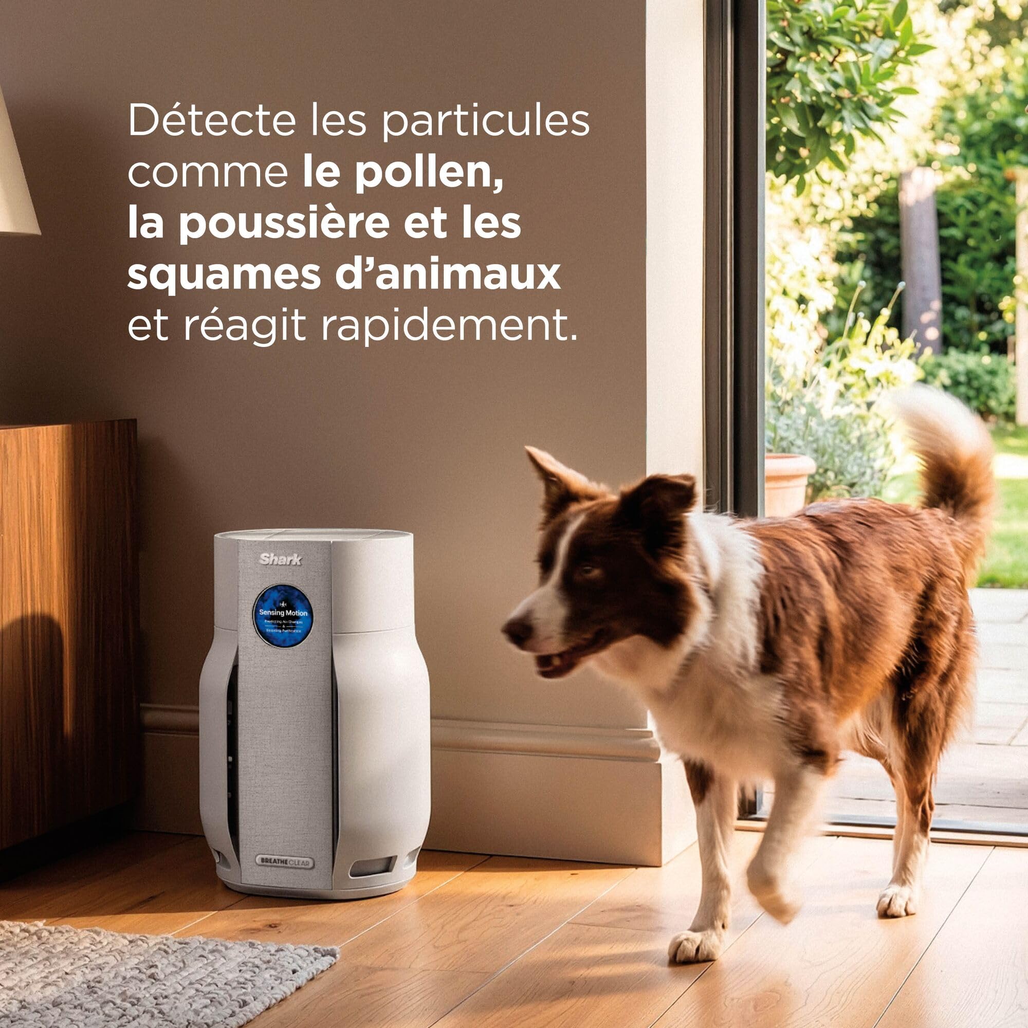 shark-breatheclear-compact-purificateur-hp162eu-27-m-hepa image 4