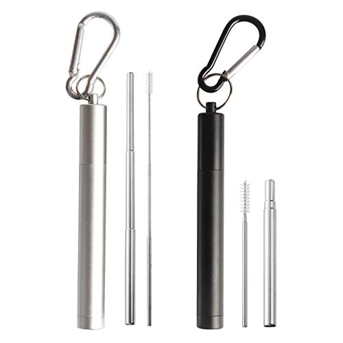 tomedeks-pailles-inox-t-lescopiques-lot-2-brosses-colo image 8