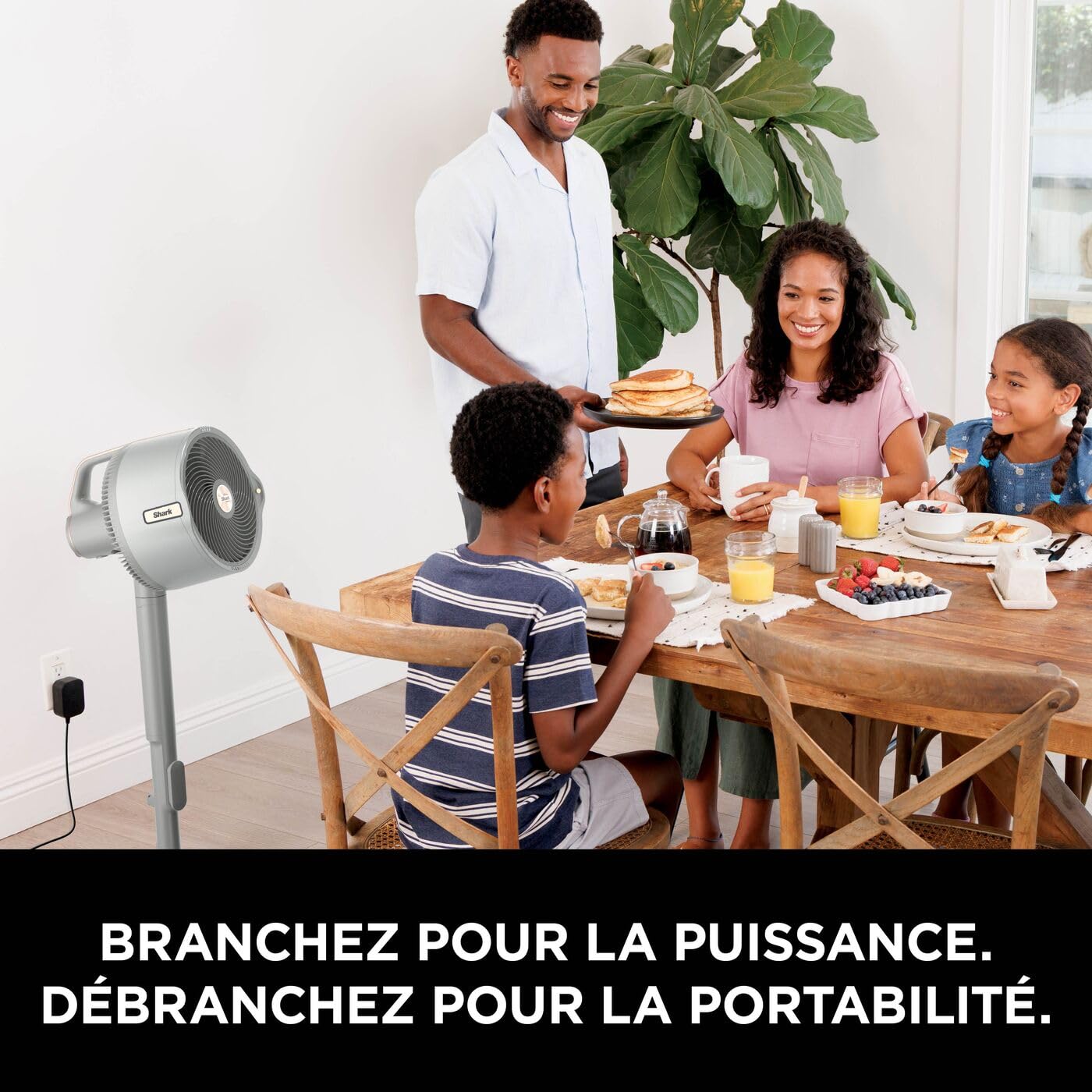 shark-flexbreeze-promist-ventilateur-brumisateur-blanc-24h image 8