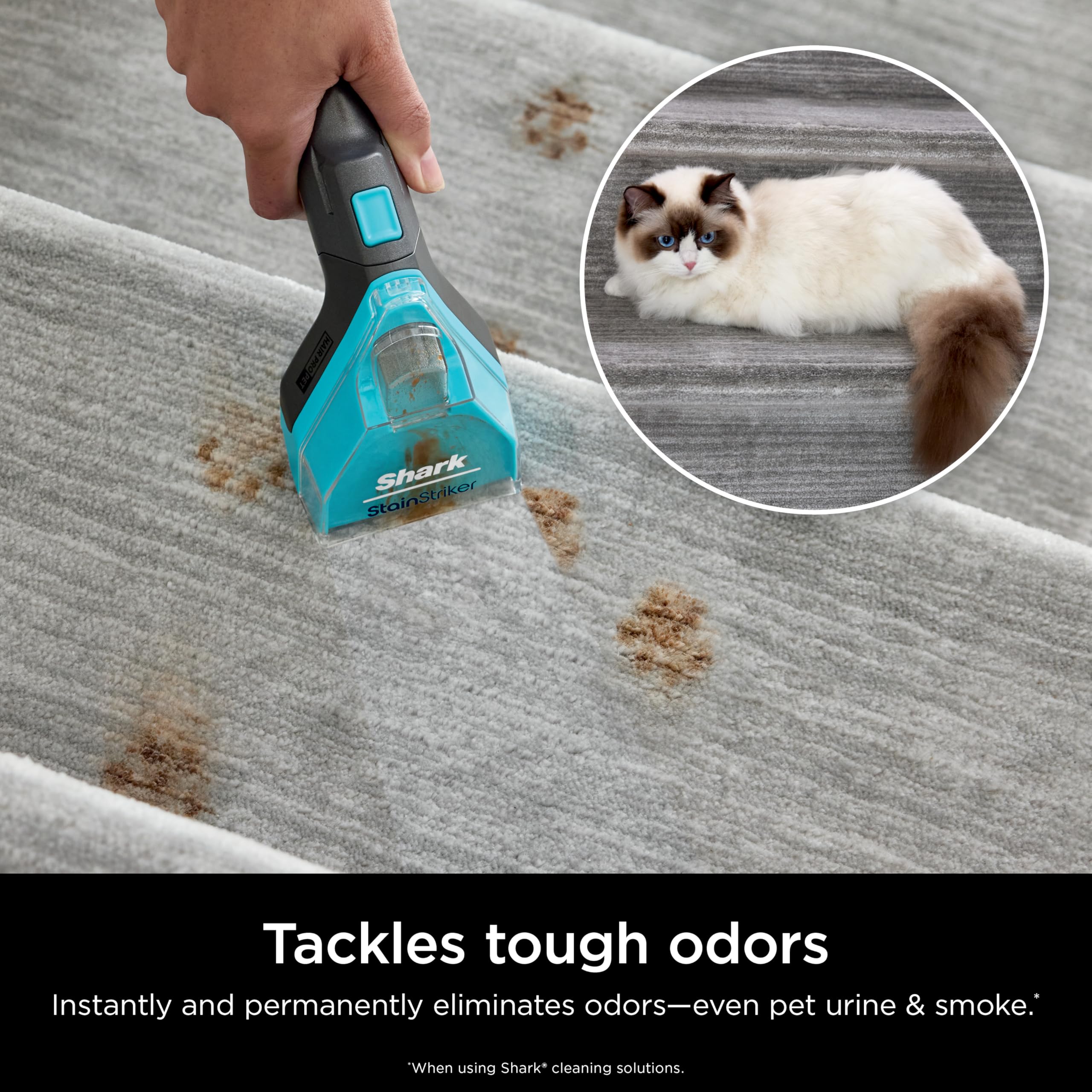 shark-stainstriker-pxcpbundle-lot-solutions-pet-animaux image 5