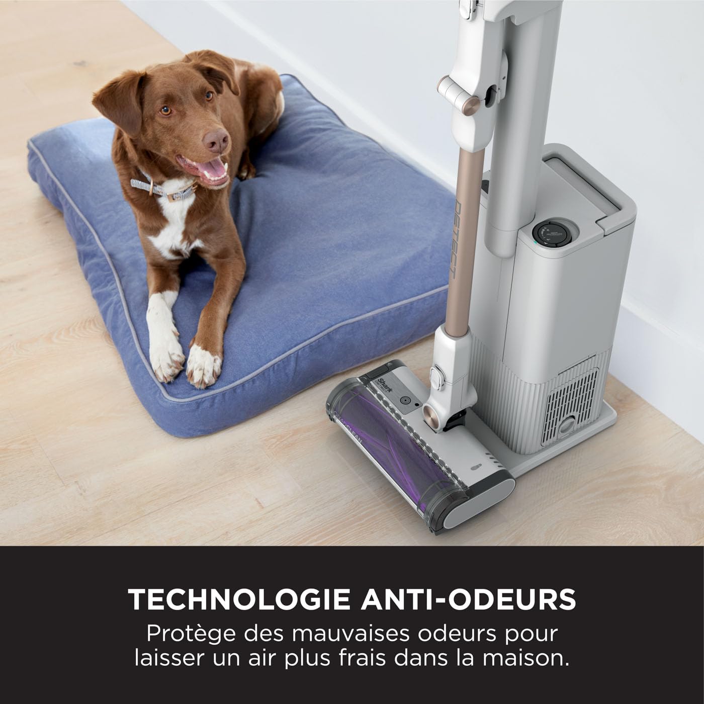 shark-detect-clean-empty-aspirateur-balai-sans-fil-blanc image 5