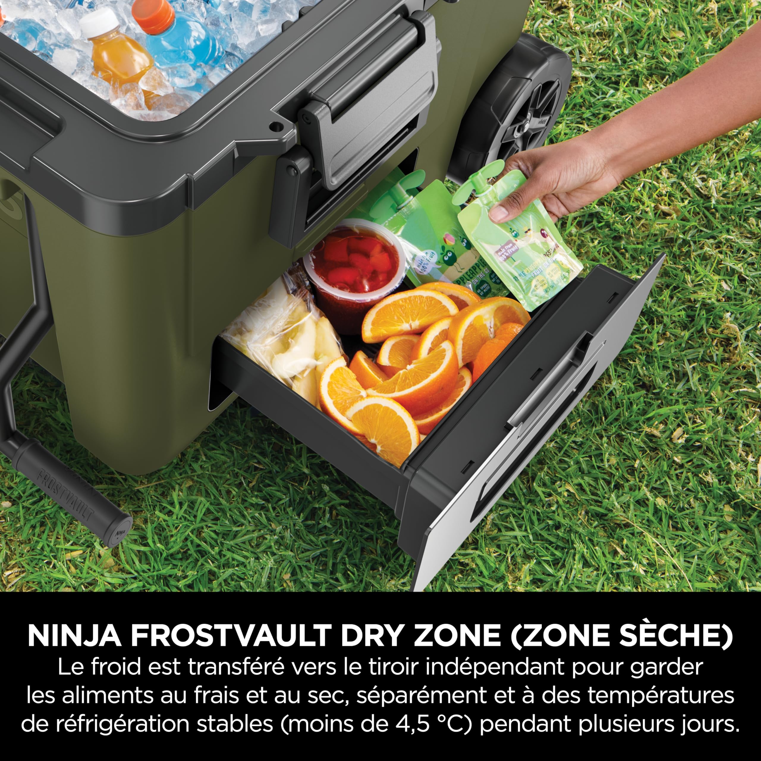 ninja-frostvault-fb245-glaci-re-roulettes-42-l-olive image 4