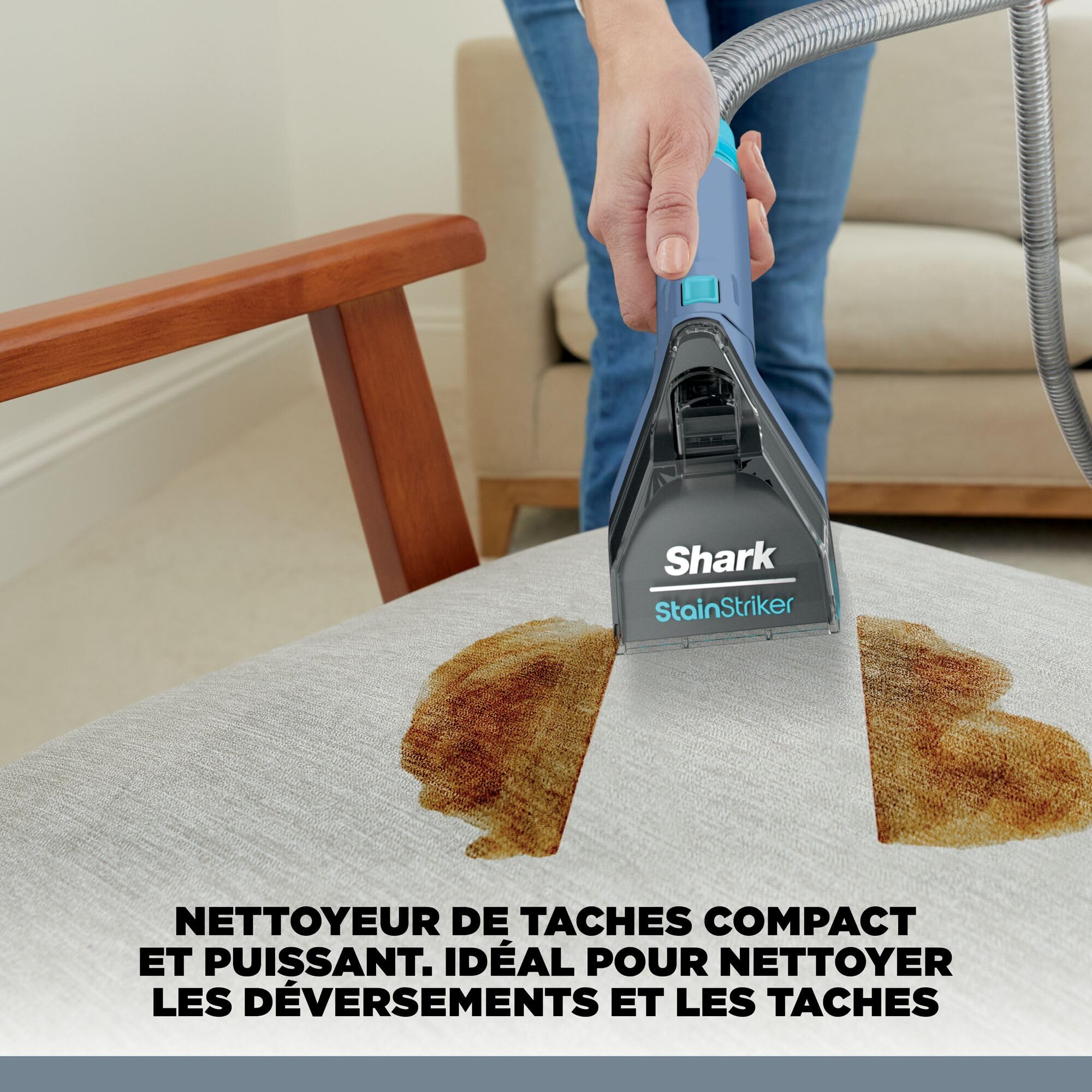 shark-stainstriker-shampouineuse-standard-animaux-bleu image 2